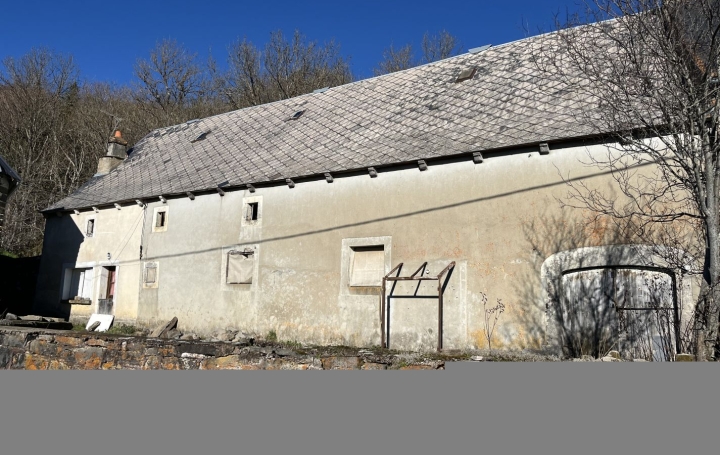 Réseau Immo-diffusion : Maison  ANZAT-LE-LUGUET  200 m2 29 000 € 