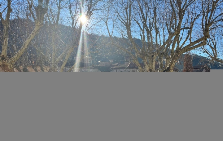 Maison BLESLE (43450)  149 m2 137 800 € 