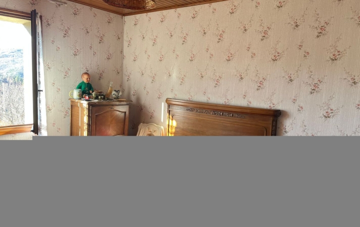 Maison BLESLE (43450)  91 m2 152 500 € 