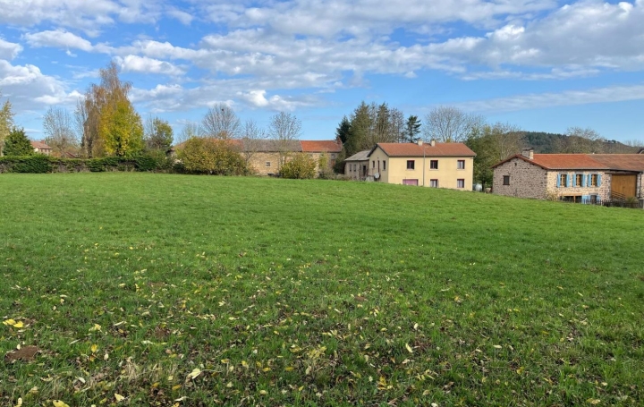 Terrain SAINT-MARY-LE-PLAIN (15500)   107 000 € 