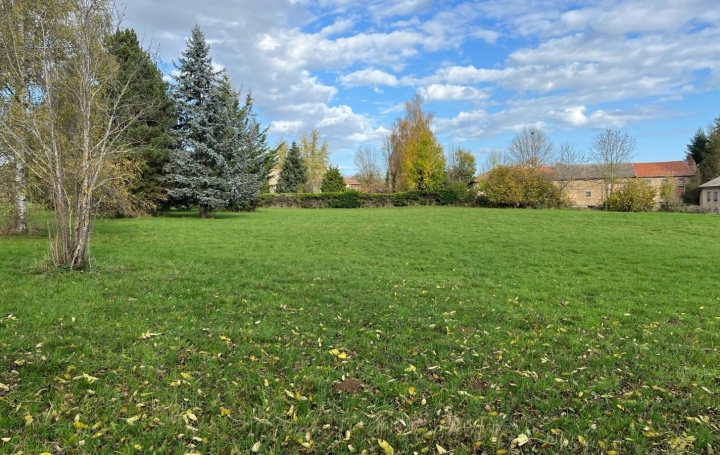 Terrain SAINT-MARY-LE-PLAIN (15500) 0 m<sup>2</sup> 107 000 € 