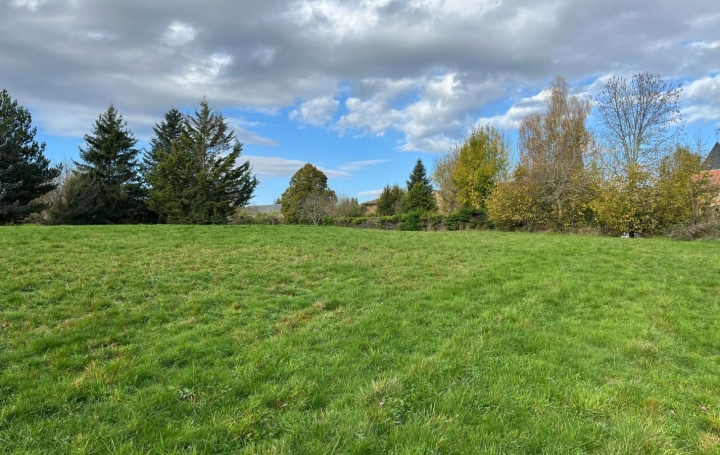 Terrain SAINT-MARY-LE-PLAIN (15500)   107 000 € 