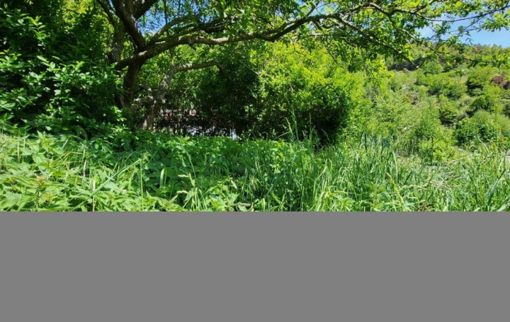 Maison FERRIERES-SAINT-MARY (15170)  120 m2 75 000 € 