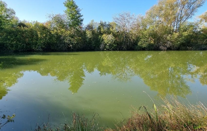 Terrain CUY (89140)  6 000 m2 79 000 € 