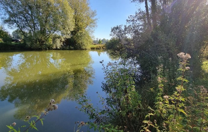 Terrain CUY (89140)  6 000 m2 79 000 € 