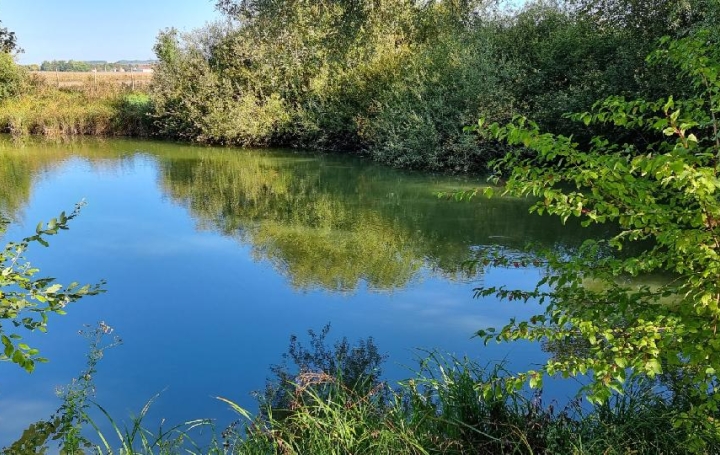 Terrain CUY (89140)  6 000 m2 79 000 € 