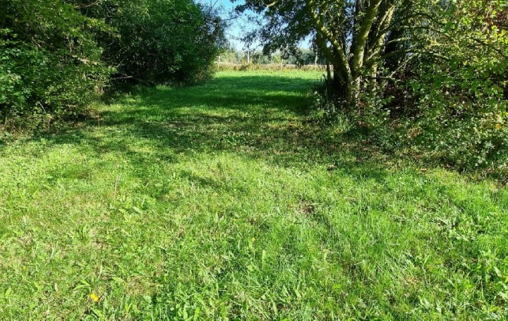 Terrain CUY (89140)  6 000 m2 79 000 € 