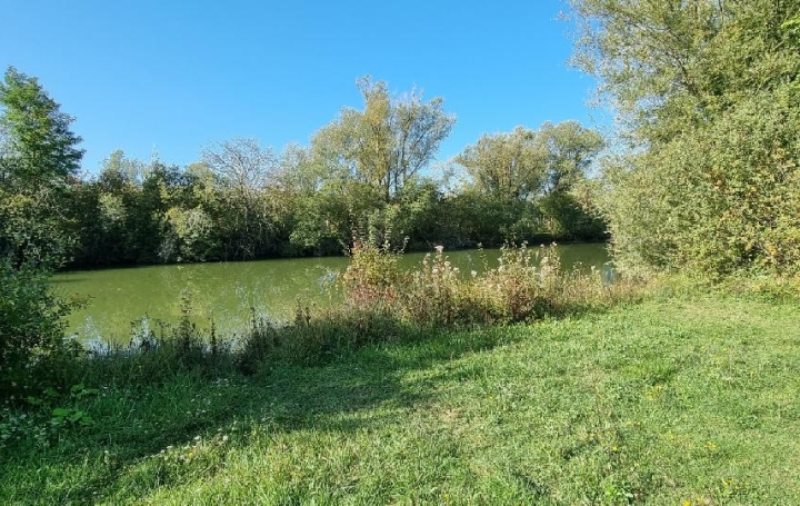 Terrain CUY (89140)  6 000 m2 79 000 € 