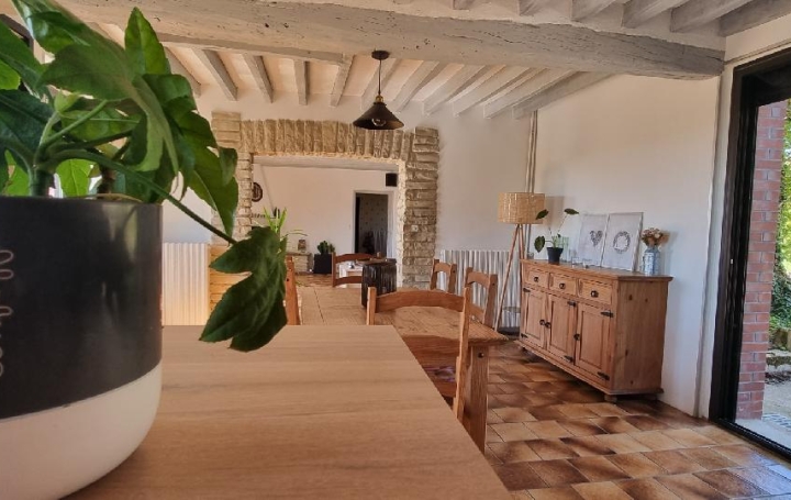 Maison PONT-SUR-YONNE (89140)  150 m2 235 000 € 