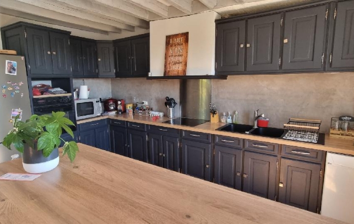 Maison PONT-SUR-YONNE (89140)  150 m2 235 000 € 