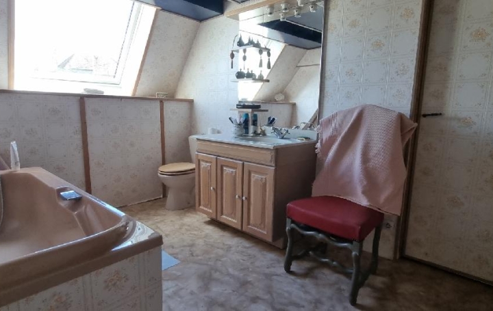 Maison VILLEMANOCHE (89140)  105 m2 163 000 € 