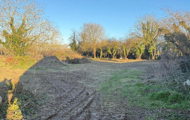 Terrain CHAMPIGNY (89340) 1 700 m<sup>2</sup> 29 000 € 