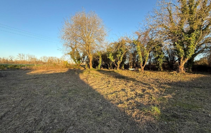 Terrain CHAMPIGNY (89340)  1 700 m2 29 000 € 