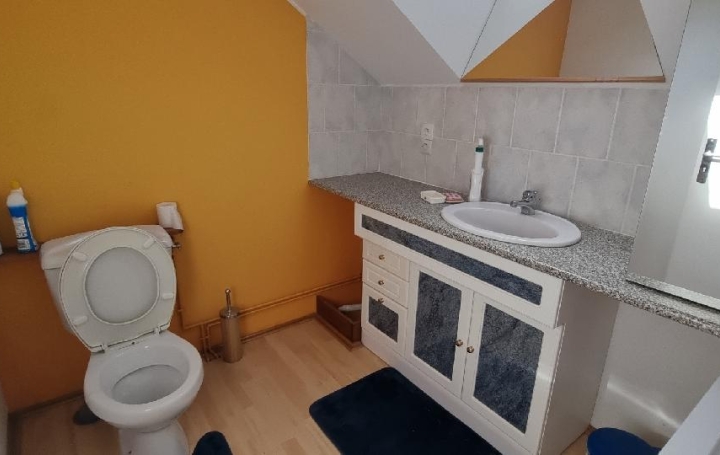 Maison MICHERY (89140)  160 m2 219 000 € 