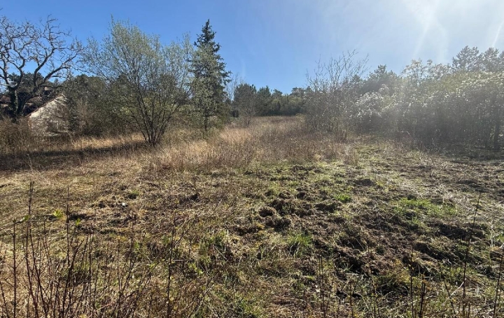 Terrain PONT-SUR-YONNE (89140) 1 990 m<sup>2</sup> 39 000 € 