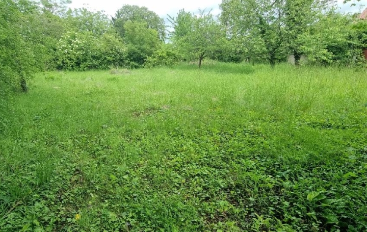 Maison CHAMPIGNY (89340)  62 m2 82 000 € 
