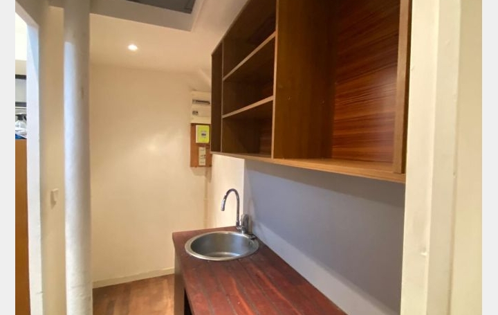 Activité commerciale PARIS (75015)  33 m2 1 170 € 