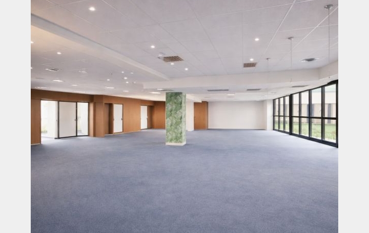 Local d'activité SAINT-DENIS (93200)  425 m2 4 250 € 