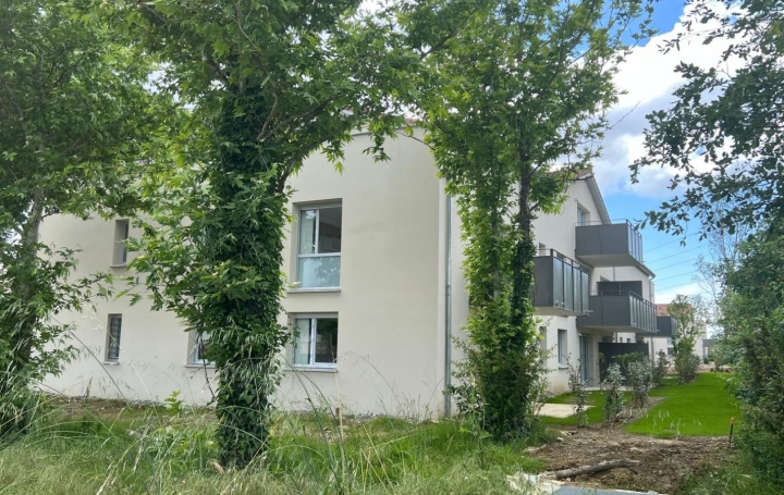 3 Pièces AUSSONNE (31840)  60 m2 238 000 € 