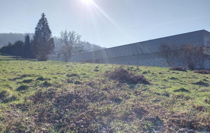 Terrain BAREMBACH (67130)  885 m2 97 000 € 