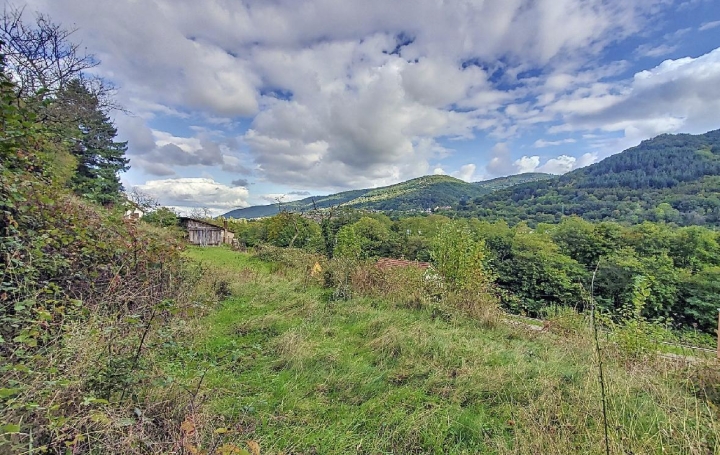 Terrain WISCHES (67130)  1 429 m2 75 000 € 