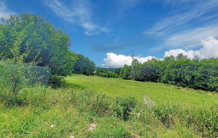 Maison SAINT-STAIL (88210)  140 m2 242 000 € 