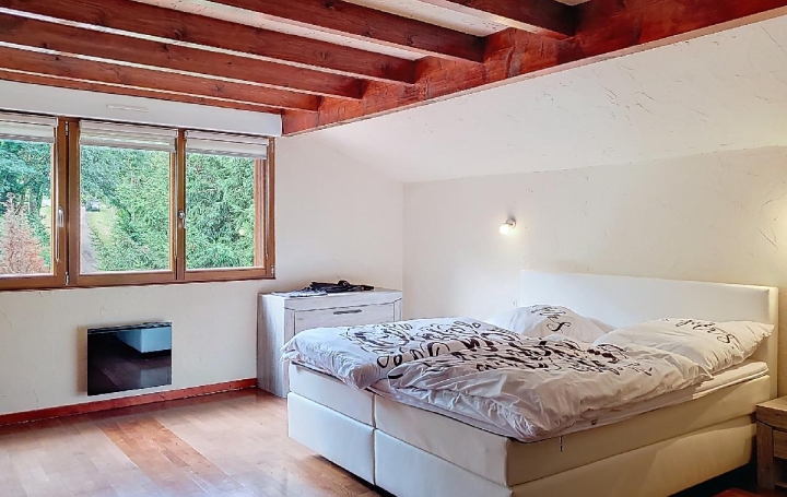 Local commercial SCHIRMECK (67130)  97 m2 220 000 € 