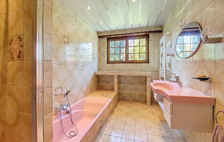 Maison PLAINE (67420)  156 m2 295 000 € 