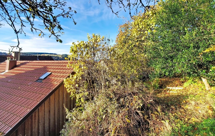 Maison BELMONT (67130)  113 m2 92 000 € 