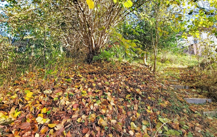 Maison BELMONT (67130)  113 m2 92 000 € 