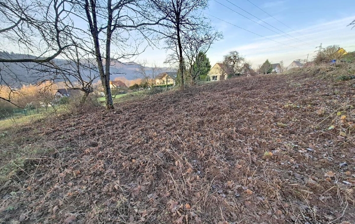 Terrain RUSS (67130)  1 904 m2 87 000 € 