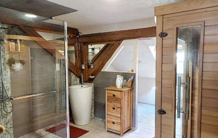 Maison SAULXURES (67420)  380 m2 445 000 € 