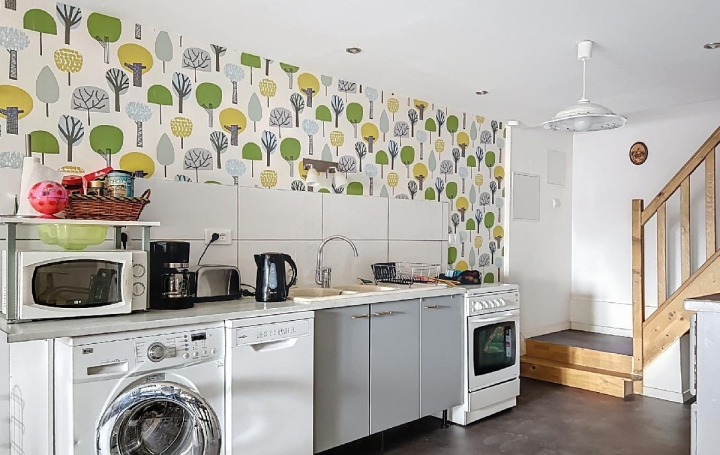 Maison COLROY-LA-ROCHE (67420)  166 m2 222 000 € 