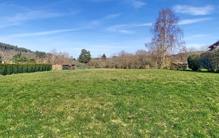 Terrain PLAINE (67420) 2 226 m<sup>2</sup> 119 000 € 