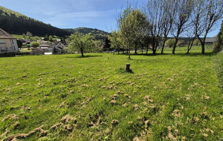 Terrain COLROY-LA-ROCHE (67420) 799 m<sup>2</sup> 45 000 € 