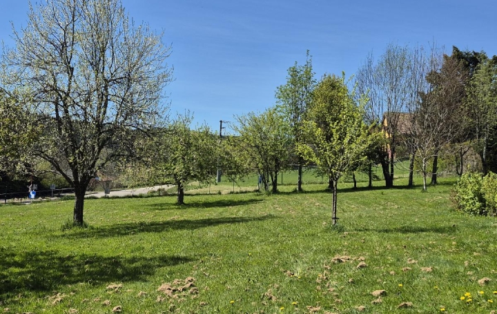 Terrain COLROY-LA-ROCHE (67420)  799 m2 45 000 € 