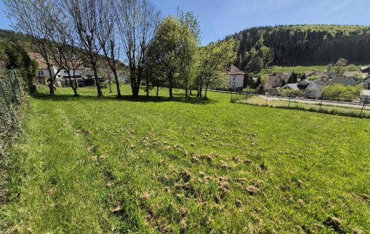 Terrain COLROY-LA-ROCHE (67420)  799 m2 45 000 € 
