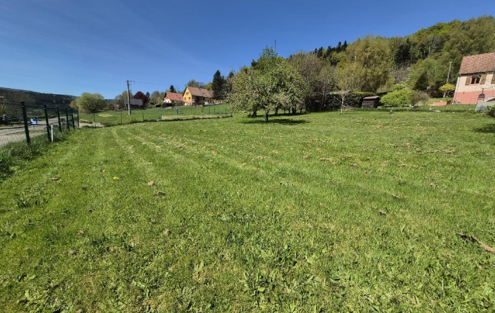 Terrain COLROY-LA-ROCHE (67420)  799 m2 45 000 € 