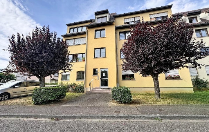 2 Pièces OBERNAI (67210)  53 m2 178 000 € 