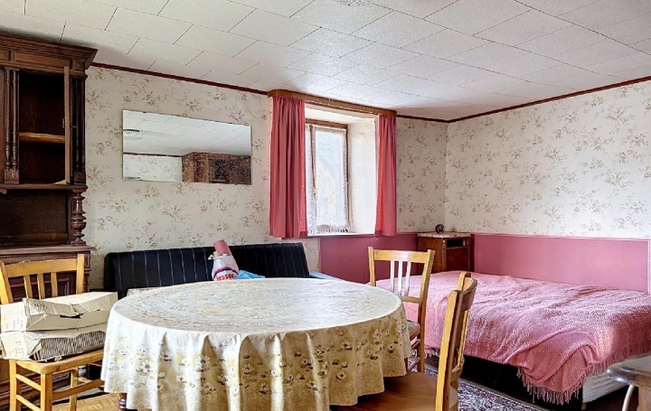 Maison NEUVILLER-LA-ROCHE (67130)  39 m2 30 000 € 