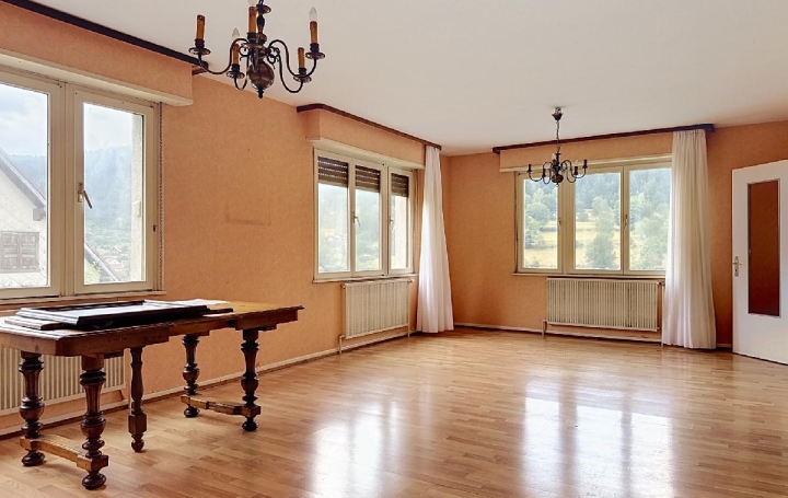 Maison NATZWILLER (67130)  149 m2 262 000 € 