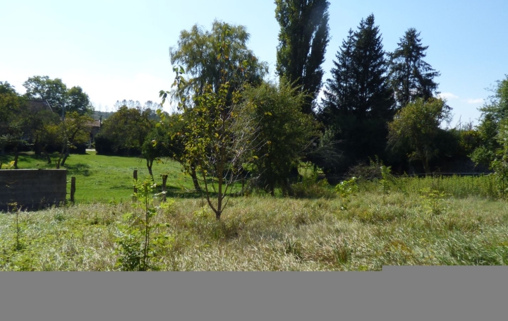 Maison BENAMENIL (54450)  160 m2 231 000 € 