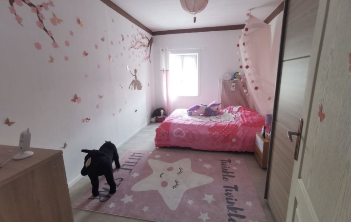 Maison SAINT-CLEMENT (54950)  150 m2 127 000 € 