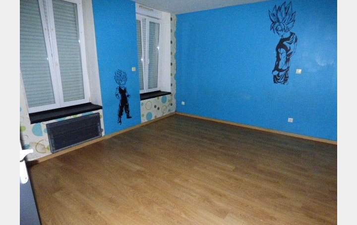 Immeuble CIREY-SUR-VEZOUZE (54480)  345 m2 189 000 € 