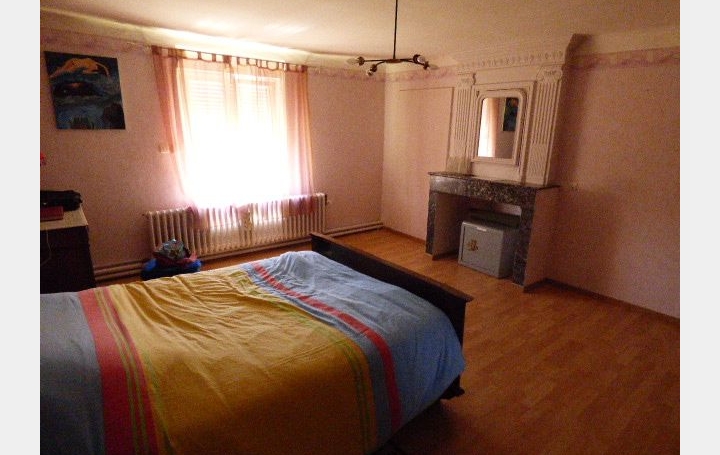 Maison LUNEVILLE (54300)  174 m2 245 000 € 