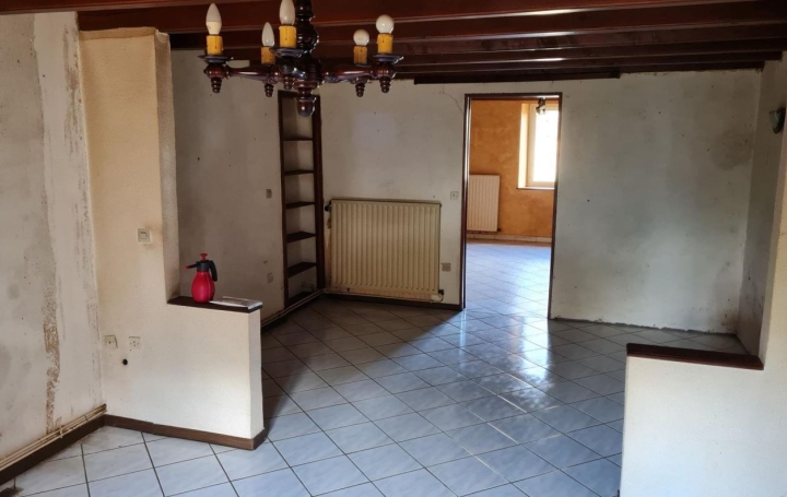 Maison DIEUZE (57260)  132 m2 80 000 € 