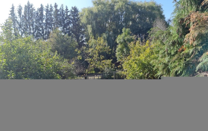 Maison DIEUZE (57260)  132 m2 80 000 € 