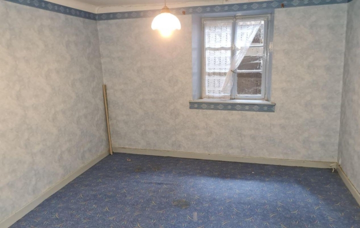 Maison DIEUZE (57260)  136 m2 60 000 € 