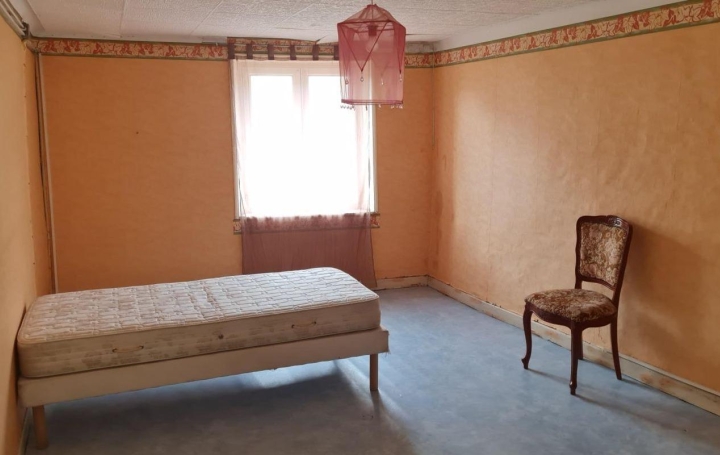 Maison DIEUZE (57260)  136 m2 60 000 € 