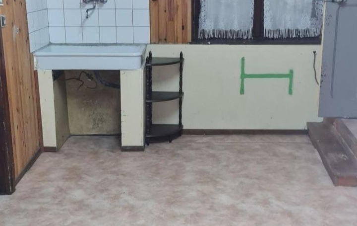 Maison DIEUZE (57260)  136 m2 60 000 € 